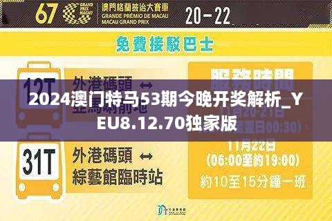 2024新澳门今晚开特马直播,动态词语解释落实_Gold65.246