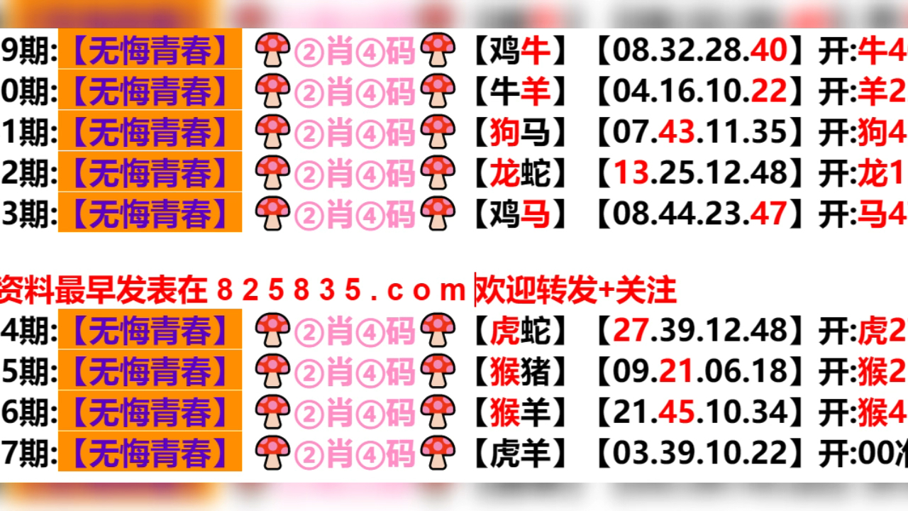 2024年新奥门天天开彩,高效解答解释界说_LT47.275