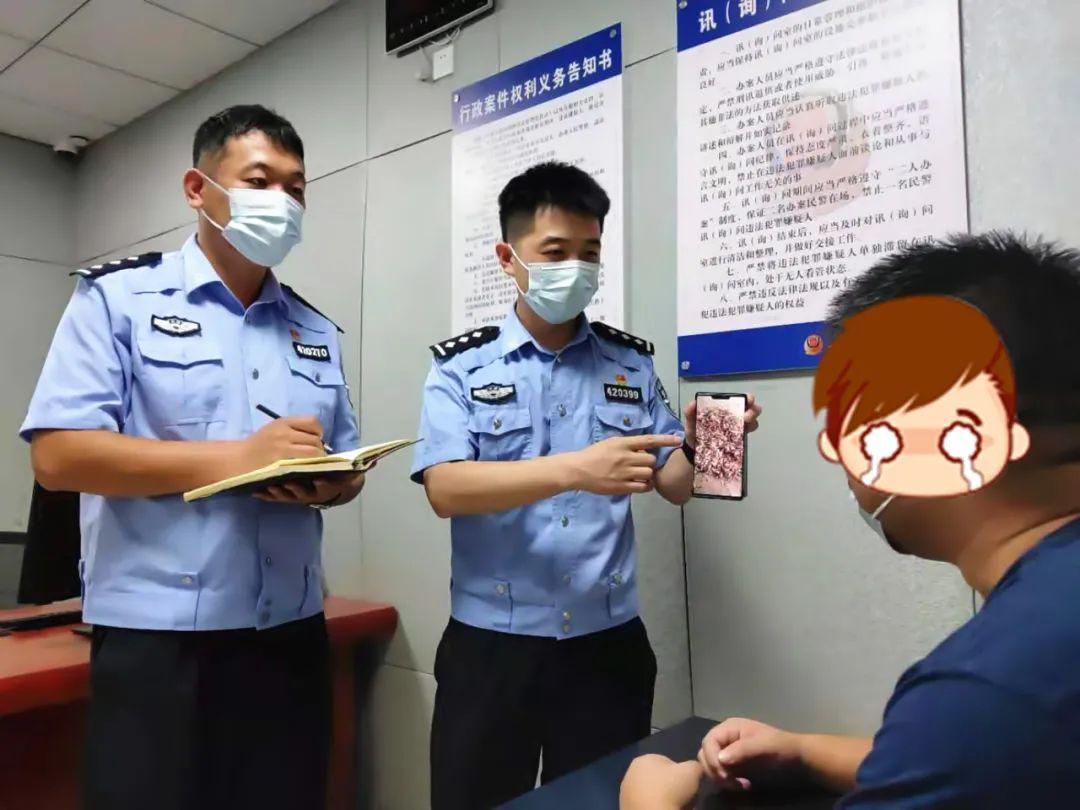 警惕涉黄危害，在线寓目绵羊视频，共建健康网络文化情况